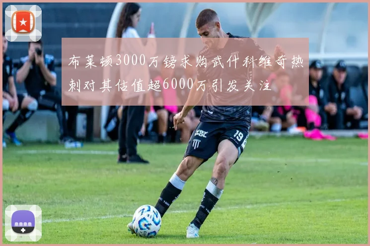 布莱顿3000万镑求购武什科维奇热刺对其估值超6000万引发关注