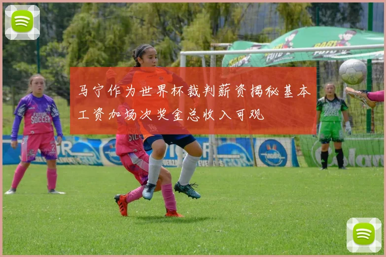 马宁作为世界杯裁判薪资揭秘基本工资加场次奖金总收入可观