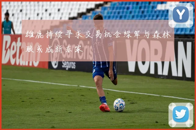 雄鹿持续寻求交易机会绿军与森林狼或成新东家