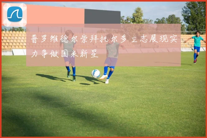 普罗维德尔崇拜托尔多立志展现实力争做国米新星