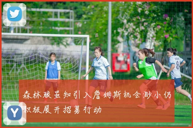 森林狼虽知引入詹姆斯机会渺小仍积极展开招募行动